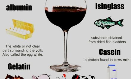 Bet You Thought All Wines Were Vegan? Wrong!