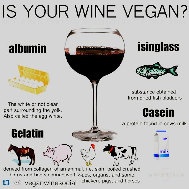 Bet You Thought All Wines Were Vegan? Wrong!