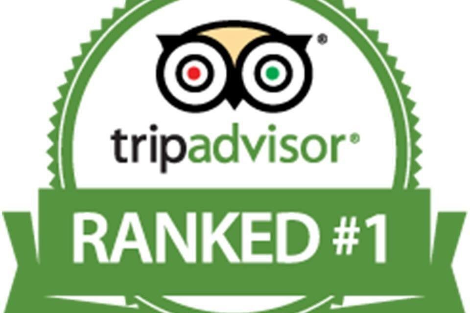 TripAdvisors Top Ten